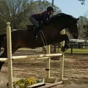 Meet your Posher, Amelia